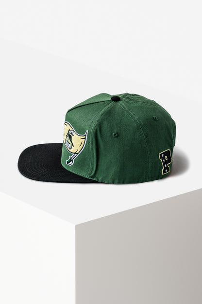 Snapback Green Flag