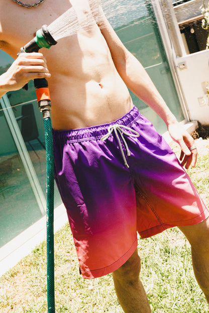 Boardshort Purple Fade