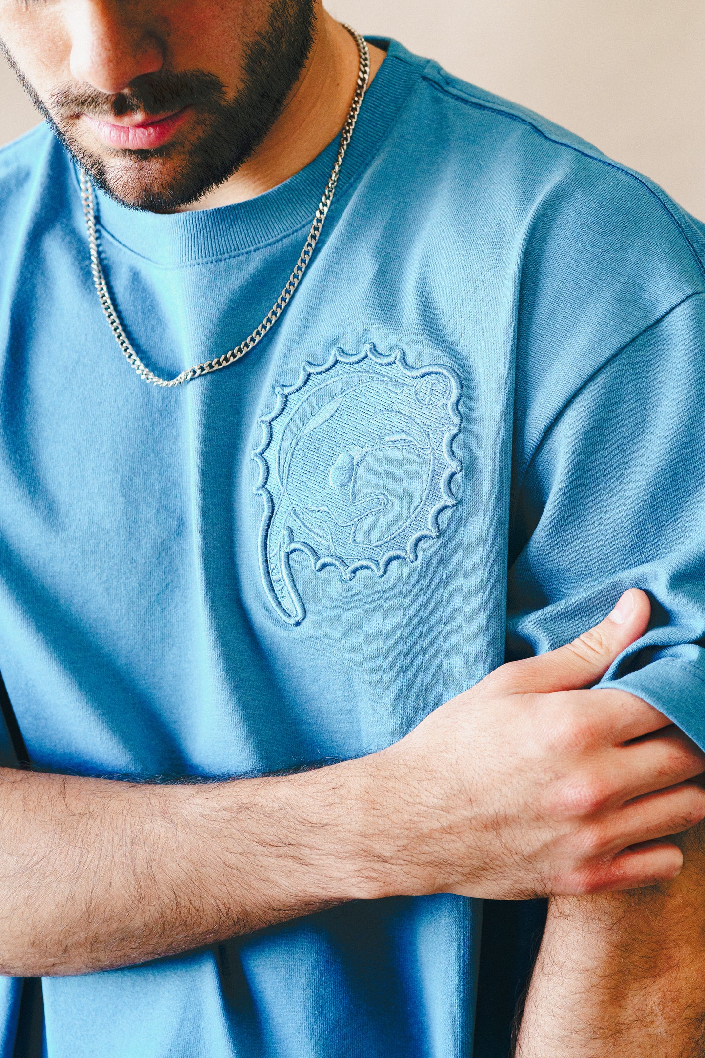 Playera Catphins (Oversized)