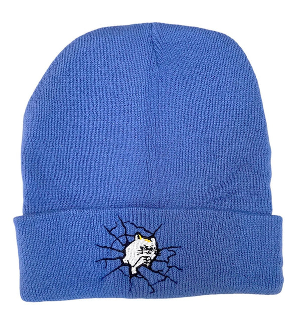 Beanie Breaker Blue